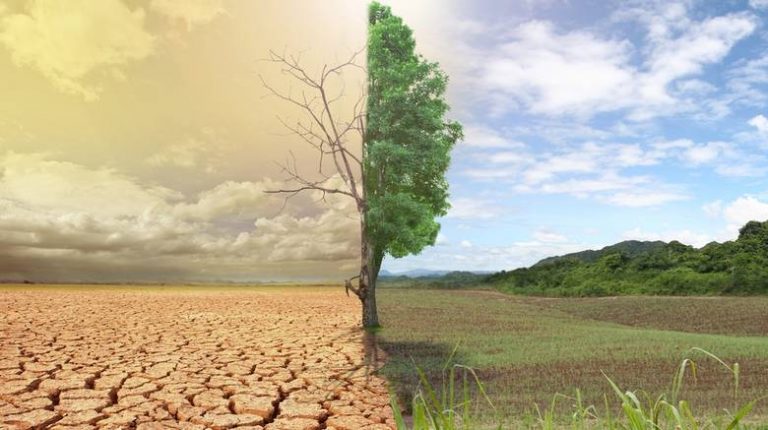Κίνδυνος ερημοποίησης του 1/3 των ελληνικών εδαφών;