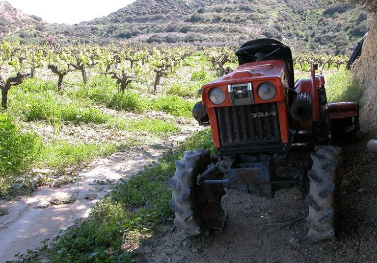 ‘Climate change to have heavy impact on Cyprus’