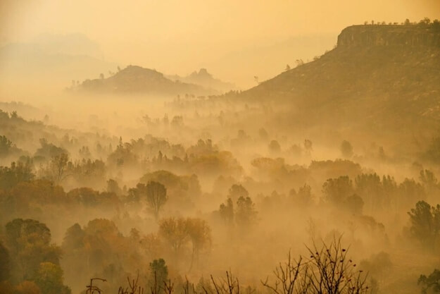 Προς κλιματικό Ολοκαύτωμα