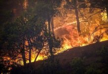 Κλείνει το μοιραίο αιολικό πάρκο στην Βοιωτία – Προφυλακίστηκε ο δήμαρχος Στυλίδας και άλλοι δύο