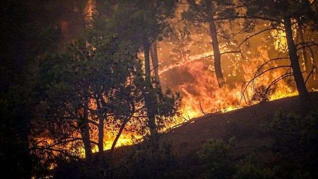 Έγκλημα και όχι φυσική καταστροφή οι πυρκαγιές. Οι υπεύθυνοι εντός και εκτός Ελλάδας