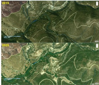 5631434131(1)(1)