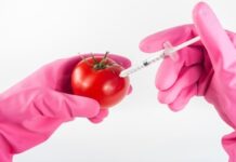Η Ελλάδα δεν πρέπει να δεχτεί μεταλλαγμένα προϊόντα