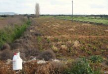 Δηλητηριάζοντας την άνοιξη και τους εαυτούς μας: Η αόρατη απειλή των επικίνδυνων φυτοφαρμάκων
