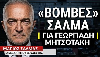 salmas3(1)(1)